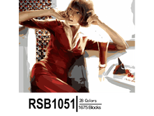 RSB1051 28-1675 副本0002-500x500.png