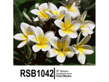 RSB1042 27-1542 副本0002-500x500.png