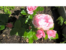 WP 20160619 09 02 11 Pro.jpg