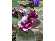 IMG 20161104 175504.jpg