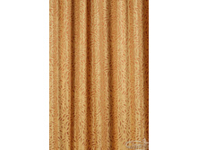 ���� ���� 14.jpg