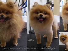 Em9vZ3J1bWluZy5ydQ==!2014-05-29 001.jpg