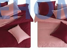 L1 ��� ����� ������