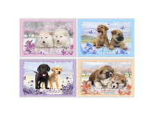 ������ ��� ��������� 12�. �4 �� ������� ��������� ��� ������� 15,77.jpg