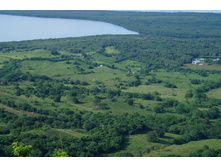 ������� ����