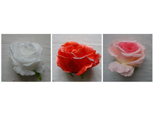 ������� "���� � ���������" 12 ��., �������, �����, 14�