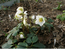 �������� ���������*)No2