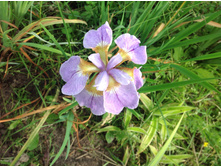 ���� ��������� ������