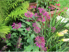 ������� ����������