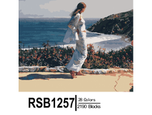 RSB1257 28-2190 副本0002-500x500.png