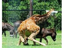 15894725 162998647518181 3834878641872006850 n.jpg