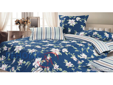 97/505 ��� ���������� 2�� ����� 4 ���. ���������