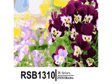 RSB1310 25-2509 副本0002-500x500.png