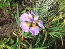 ���� ��������� ������