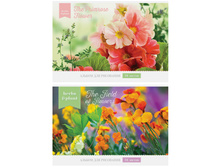 ������ ��� ��������� 16�. �4 �� ������� ����� 15,04.jpg