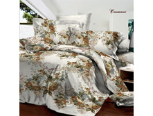 ����� �������.jpg