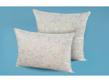 �o�y��a �yxo�a� (�exo�-���)