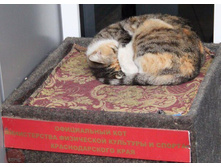 ����������� ���