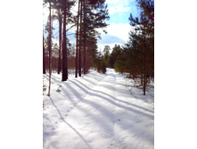 IMG 20170226 132937.jpg