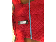 �� ����������