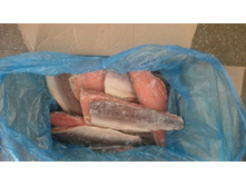 ���� �������