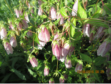 ����������� �������� ������� - 70 ���