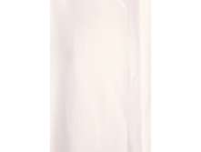 Art. 2245 (1).jpg