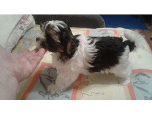 Received 1318094901569980.jpeg