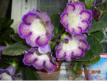 Peridot's Darth Vader