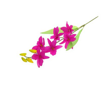 ����� ������������� "���������� ������� ���������"����� ������������� "���������� ������� ���������" �����; 70 ��; �������, ��������; � ����� 900 ��. ���.: 701716 34.10���.