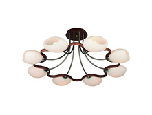 26917-08 7150�.JPG