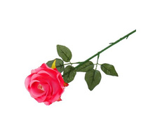 ����� ������������� "����" 61*9 ��, ������������ ������������� "����" 61*9 ��, ������� �����; 9 �� × 61 ��; �������, ��������; � ����� 600 ��. ���.: 1659271 39.00���.