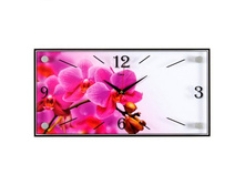 ���� ��������� «��������» ������: 1647 ������: 19�39 ����: 248.00 �.