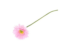 ����� ������������� "������� �����" 9*50 ��, ������������ ������������� "������� �����" 9*50 ��, ������� �����; 9 �� × 50 ��; �������, ��������; � ����� 800 ��. ���.: 1662247 36.00���.