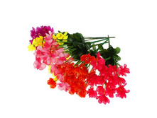 ����� "������ �������" ��������� "������ �������" ���� �����; 33 ��; �������, ��������; � ����� 800 ��. ���.: 1049693 62.92���.