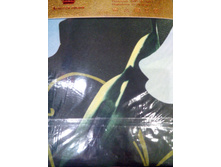 IMG 20170205 023741.jpg