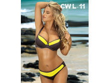1650�.,����� �� ������ �������� CWL-11