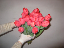 ������� Sevilla