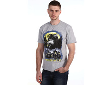 �������� �������.JPG