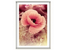 108,5���. ��� 00-00006746 V ��������� 7906 15x21 Silver ������ �����.jpg