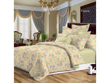 ����� (2).jpg