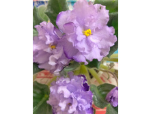 IMG 20170218 221049 AO HDR.jpg