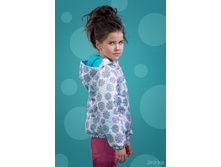 ������ 4079-4