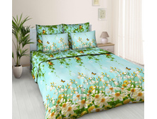 ������ ��������� ��Σ�. �������