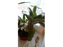 ����� 200���