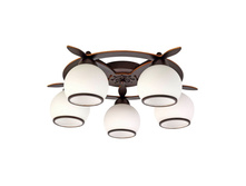 50507-05 4030�.jpg