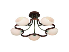 26917-05 4550�.JPG