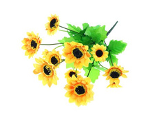 ����� "�������� ���������"����� "�������� ���������" �����; 29 ��; �������, ��������; � ����� 800 ��. ���.: 854875 69.14���.