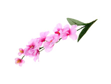 ����� ������������� "��������� ������� ���������"����� ������������� "��������� ������� ���������" �����; 65 ��; �������, ��������; � ����� 600 ��. ���.: 701710 39.00���.