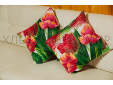 ������� ���.jpg